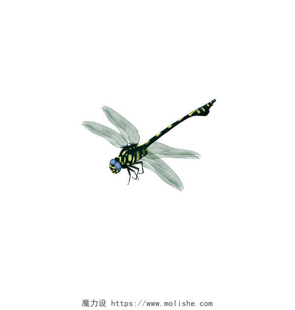 浅色昆虫动物蜻蜓立夏二十四节气PNG素材二十四节气立夏元素